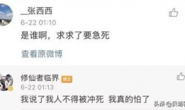 主播爆料吃瓜视频大全,吃瓜视频大全，带你领略娱乐圈幕后风云